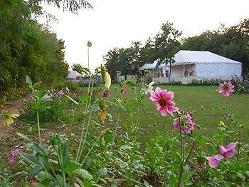 Jungle View Resort Sawai Madhopur Exteriér fotografie