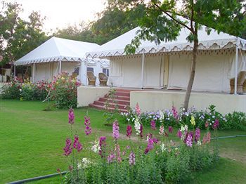 Jungle View Resort Sawai Madhopur Exteriér fotografie