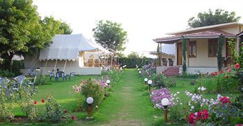 Jungle View Resort Sawai Madhopur Exteriér fotografie
