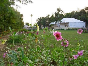 Jungle View Resort Sawai Madhopur Exteriér fotografie